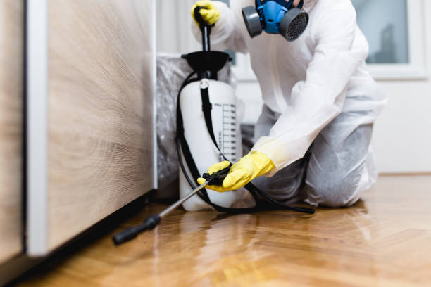 Best Insect Control  in Highland, IL