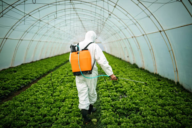 Best Pest Removal Services  in Highland, IL