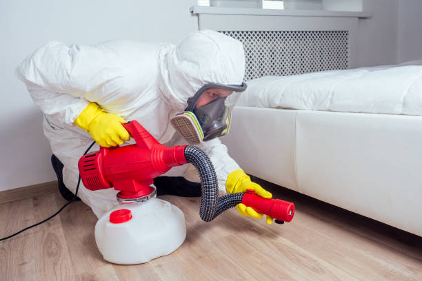 Best Affordable Pest Control Services  in Highland, IL
